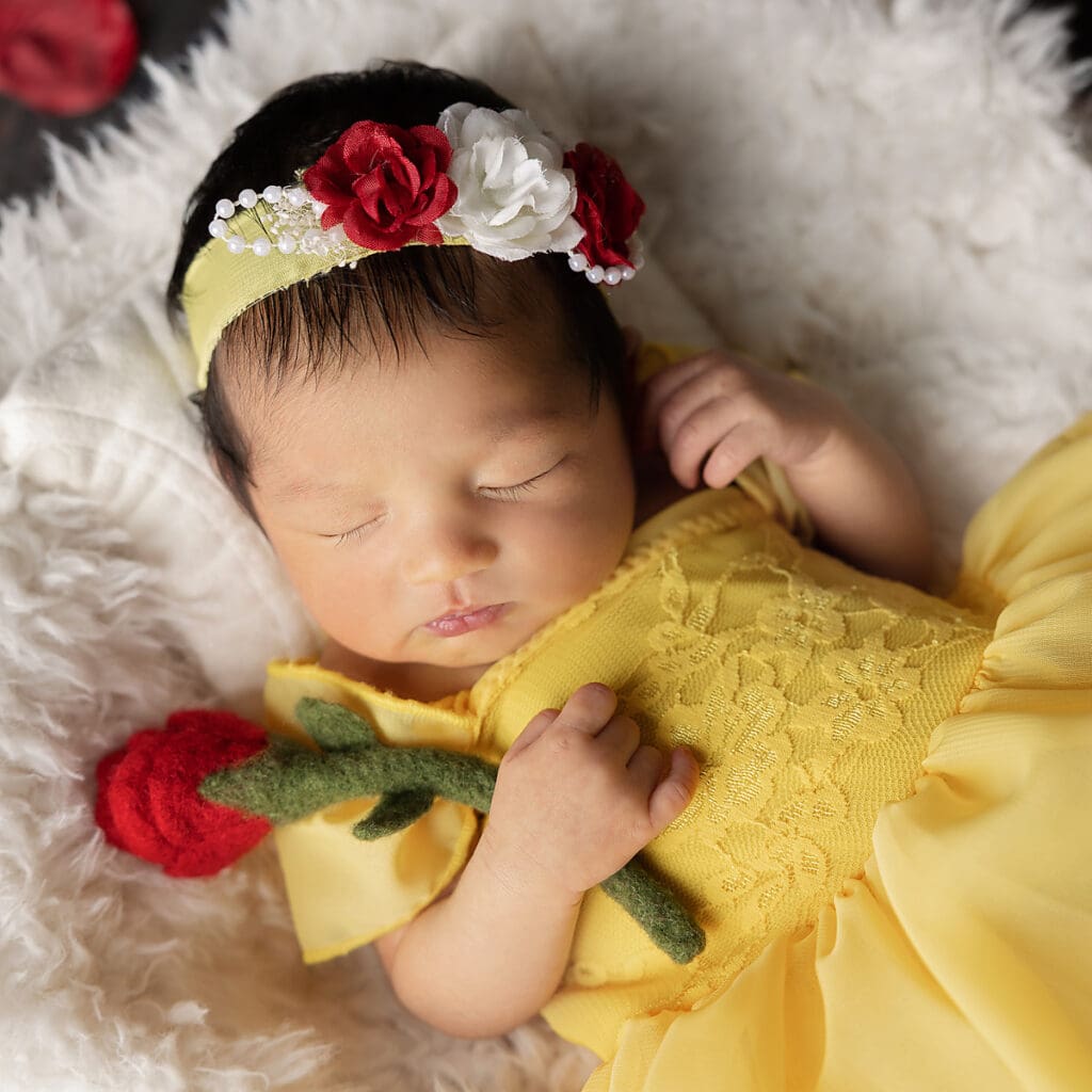 Newborn baby girl dressed as Princess Belle - Beauty and the Beast- Belle Haven Photography