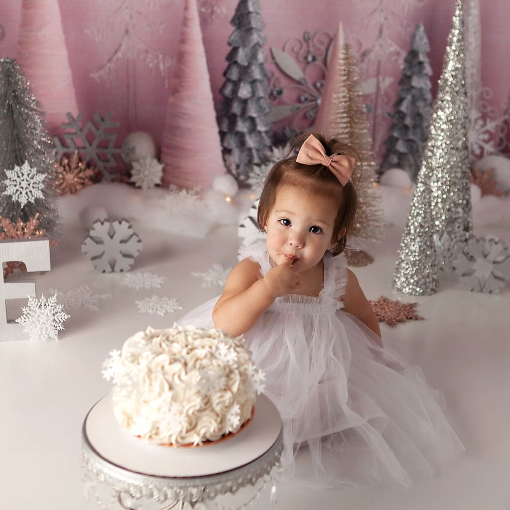 Pink winter wonderland cake smash - Belle Haven Photography
