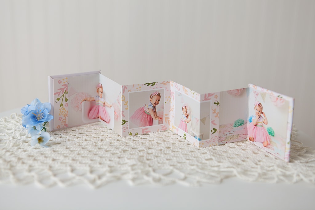 Accordion Mini book - Belle Haven Photography