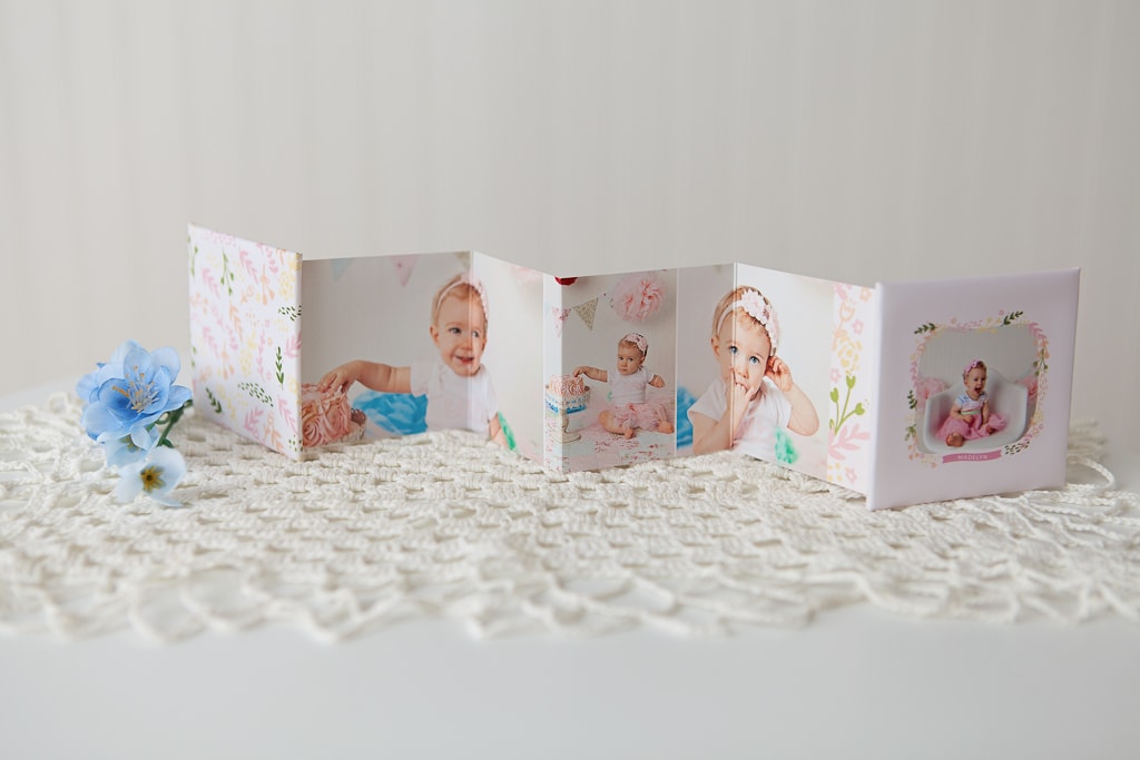 Accordion Mini book - Belle Haven Photography